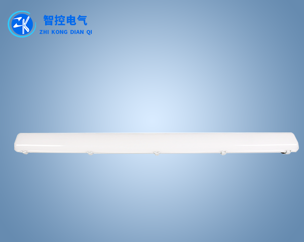 冷庫專（zhuān）用三防燈（50W）